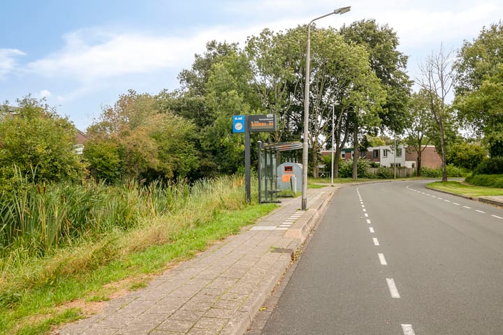 Foto 30 van Kweldergras 24