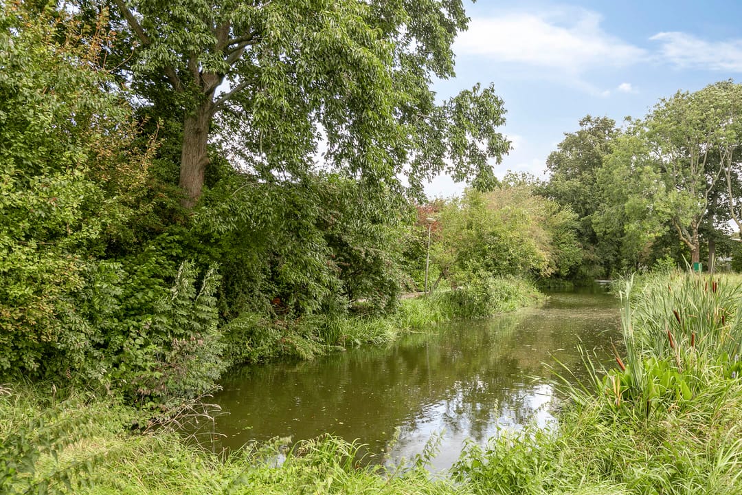 Photo 31 of Kweldergras 24