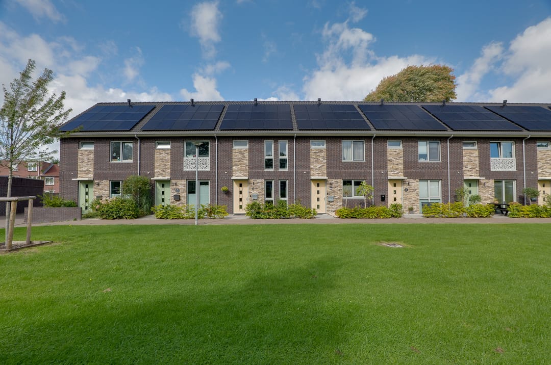 Foto 2 van Velduil 6