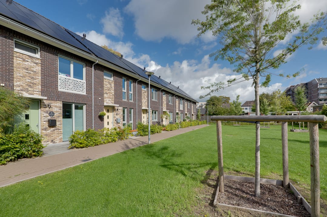 Foto 1 van Velduil 6