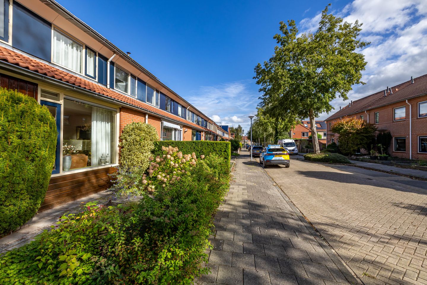 Foto 5 van Keverkleuven 1