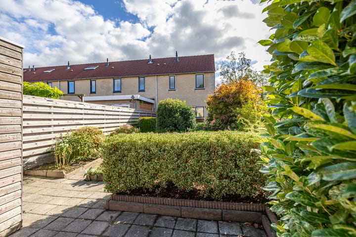 Foto 19 van Keverkleuven 1