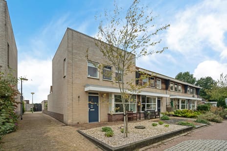 undefined main image