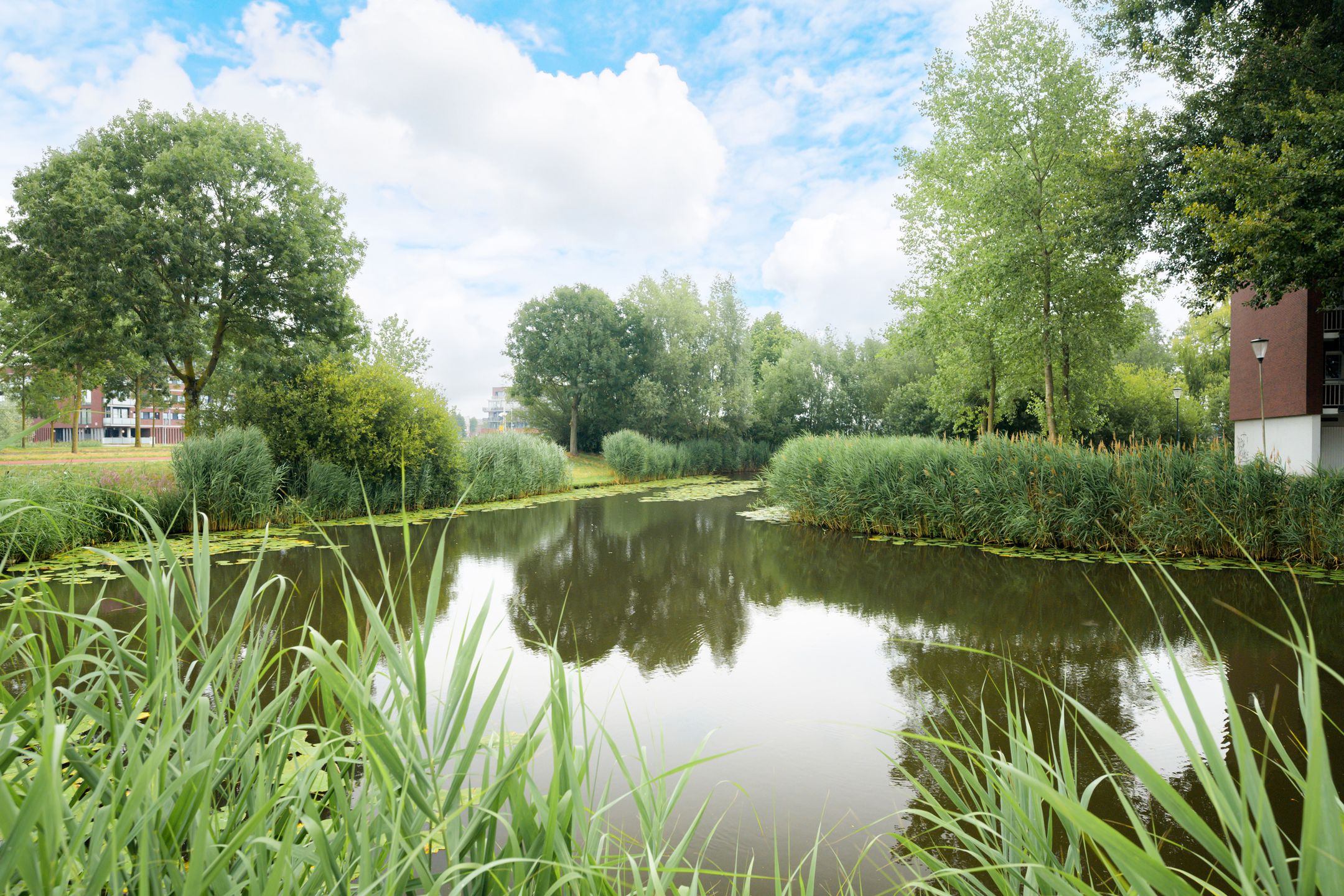 Foto 48 van Daniël Marotstraat 41