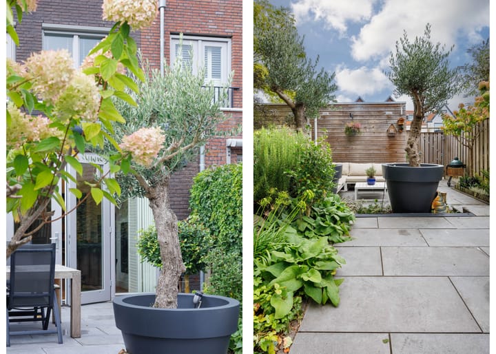 Photo 24 of Haarlemmerweg 42-B