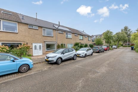 undefined main image