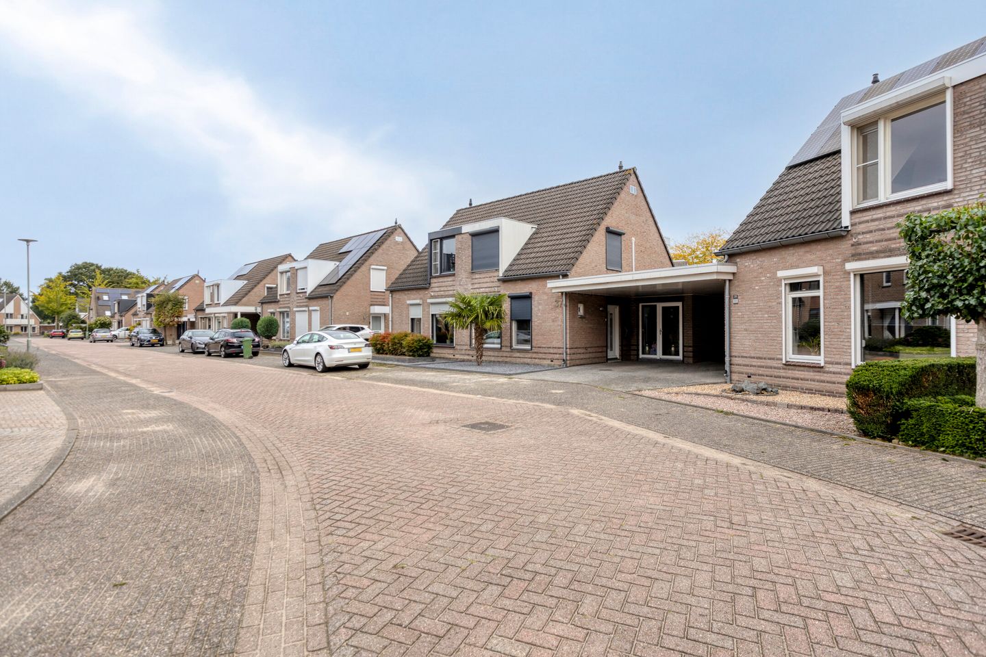 Photo 4 of Pinksterbloem 39