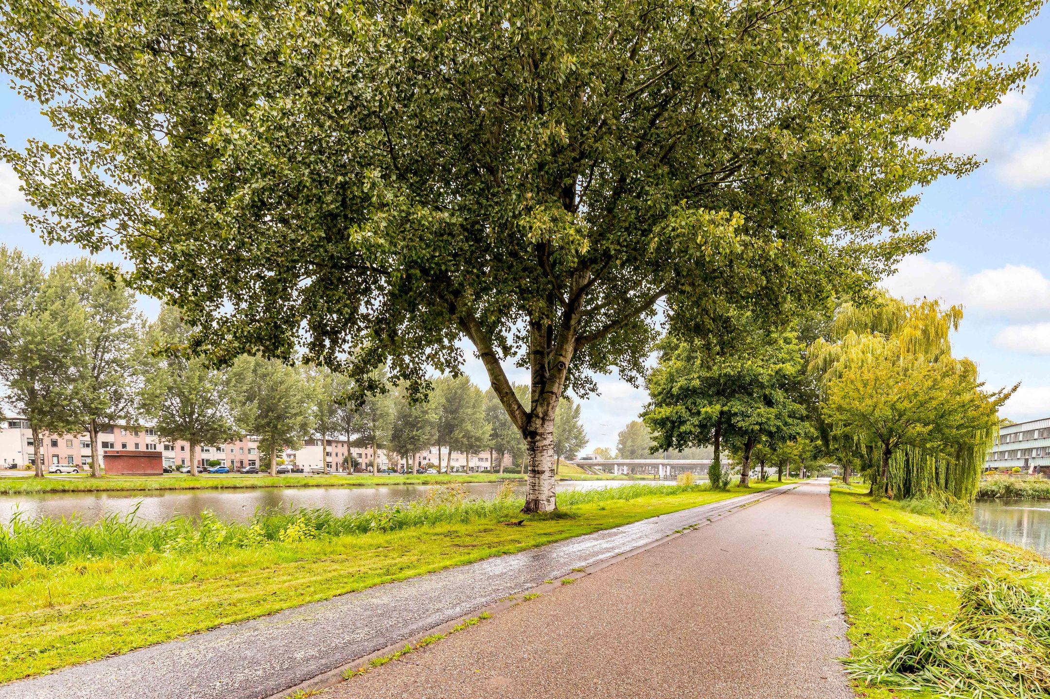 Foto 57 van Monetstraat 13