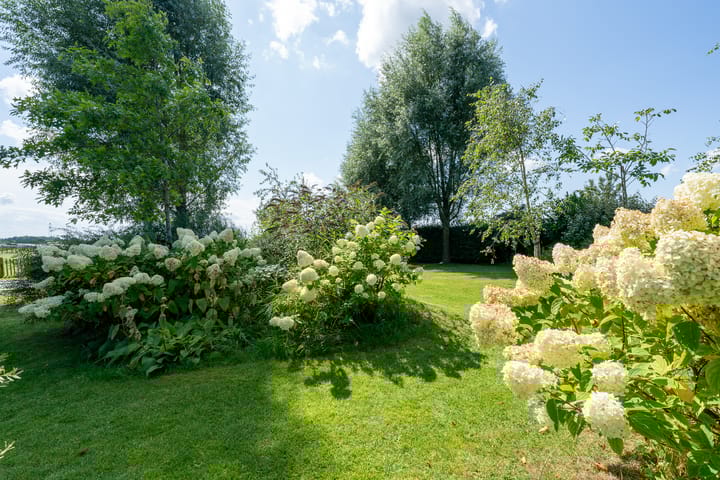 Photo 98 of Jan Glijnisweg 14-B