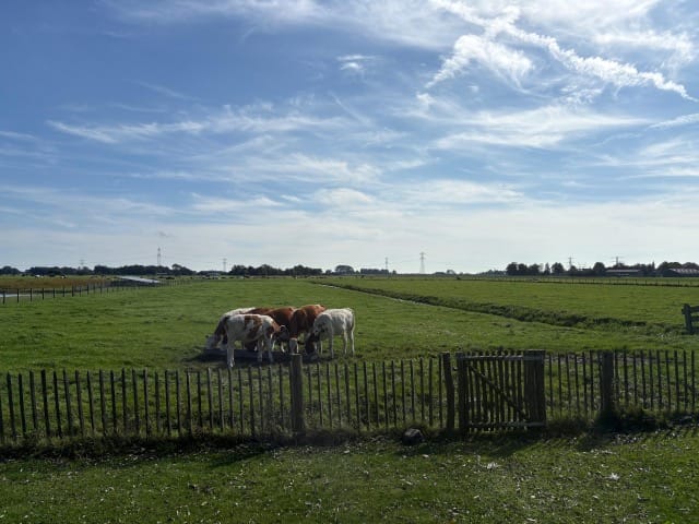 Photo 121 of Jan Glijnisweg 14-B