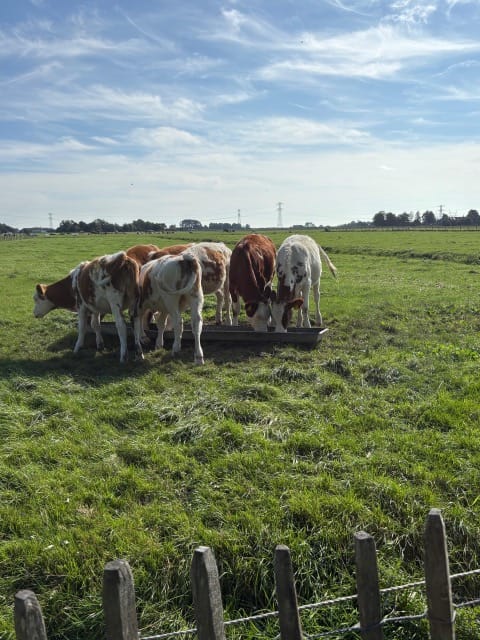 Photo 122 of Jan Glijnisweg 14-B