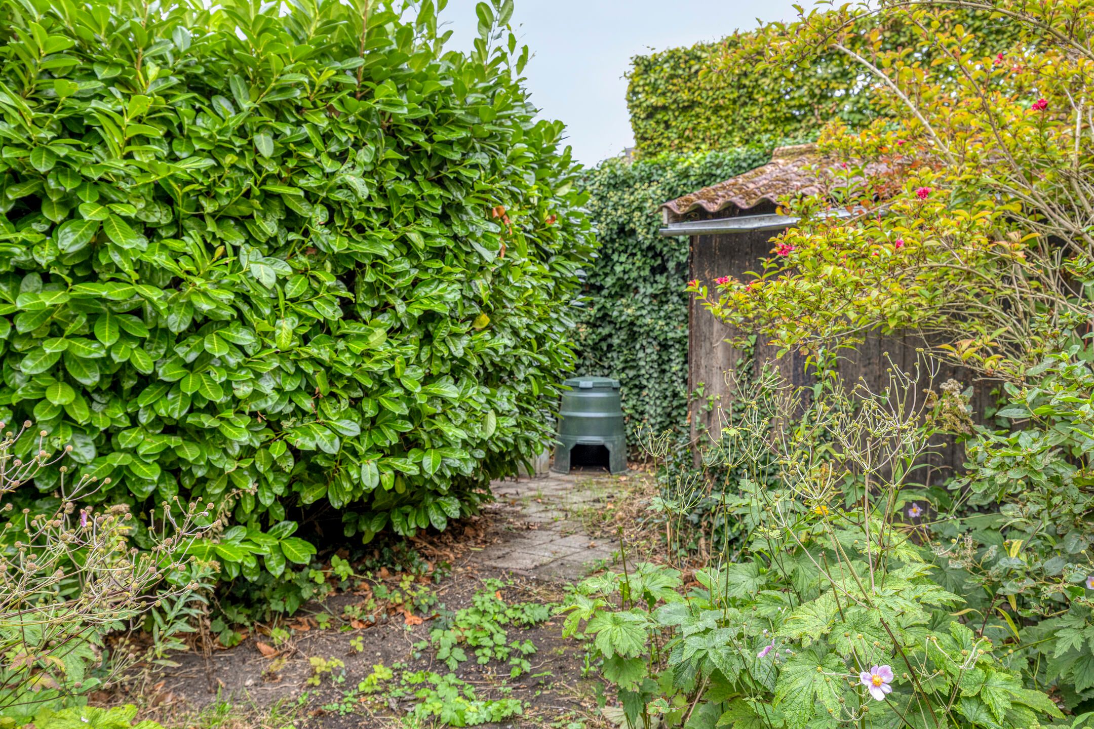 Foto 39 van Burg de Zeeuwstraat 58