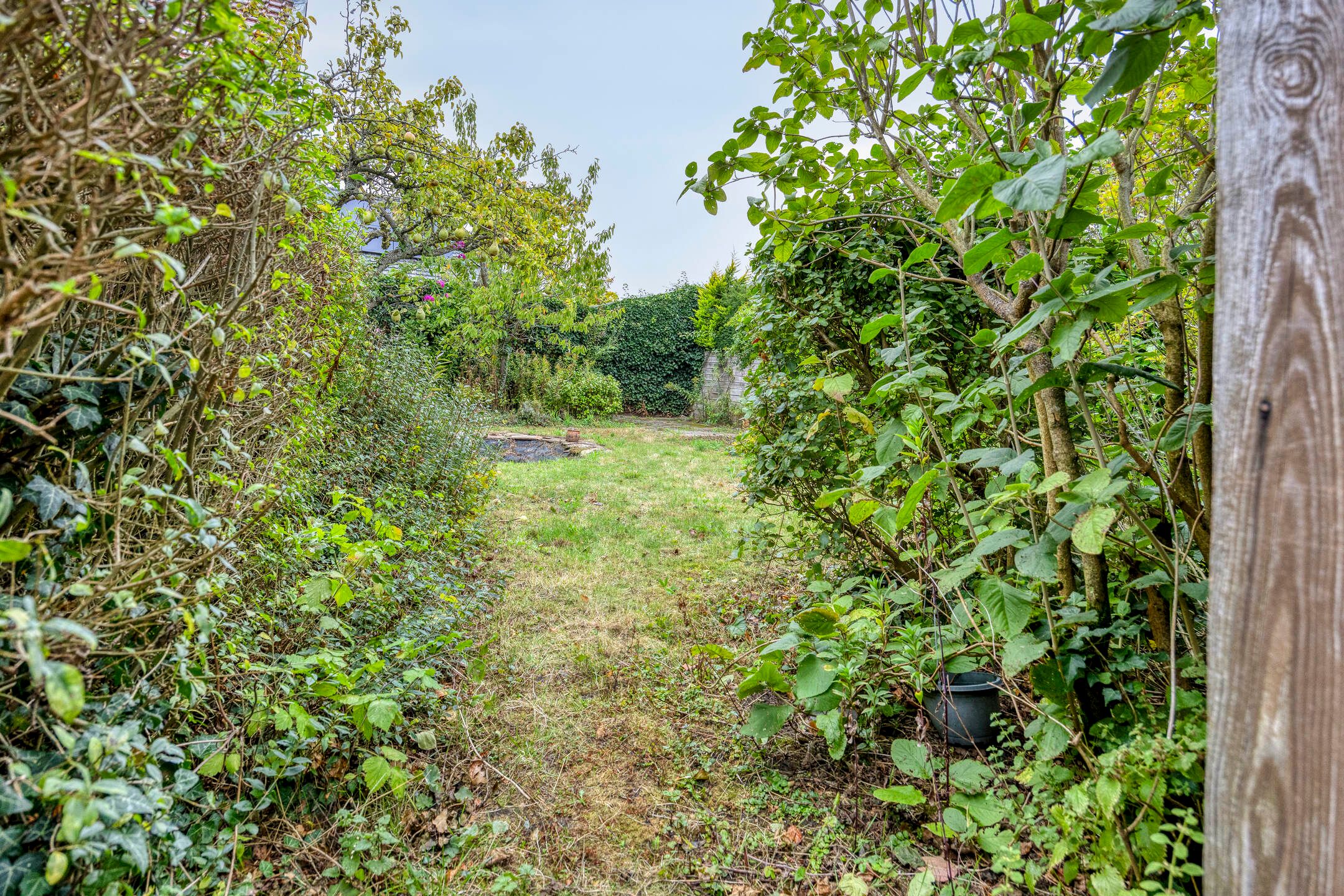 Foto 45 van Burg de Zeeuwstraat 58