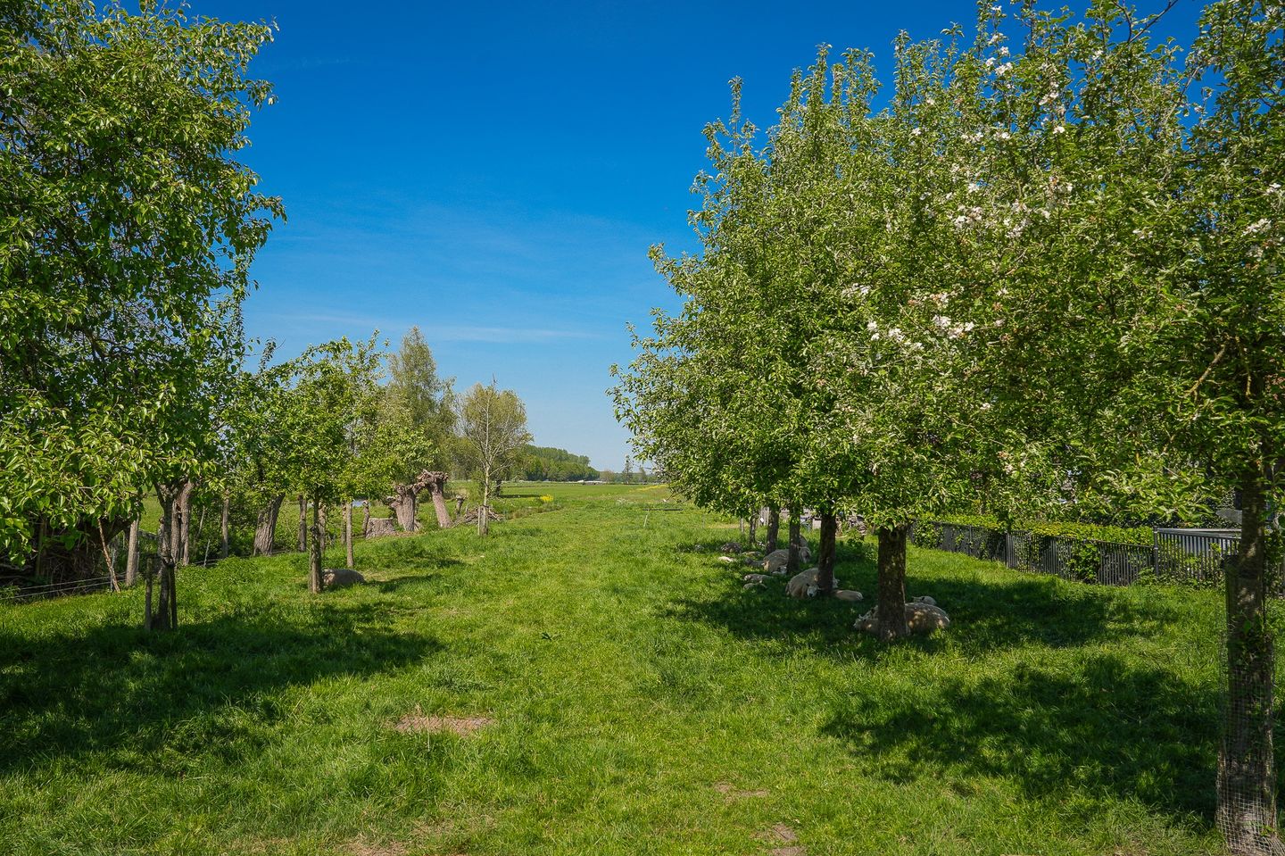 Foto 55 van Broekseweg 64