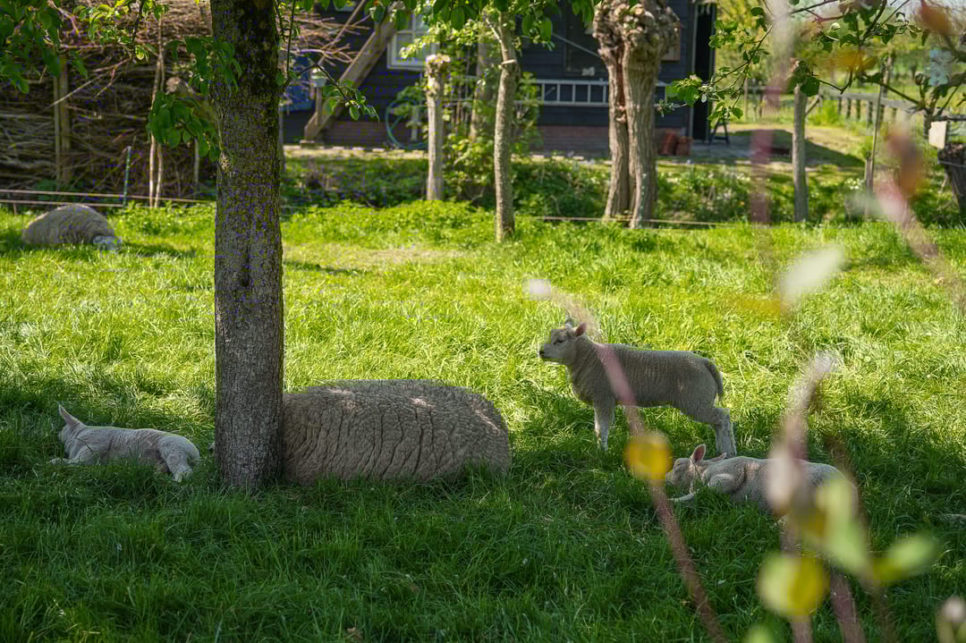 Foto 58 van Broekseweg 64
