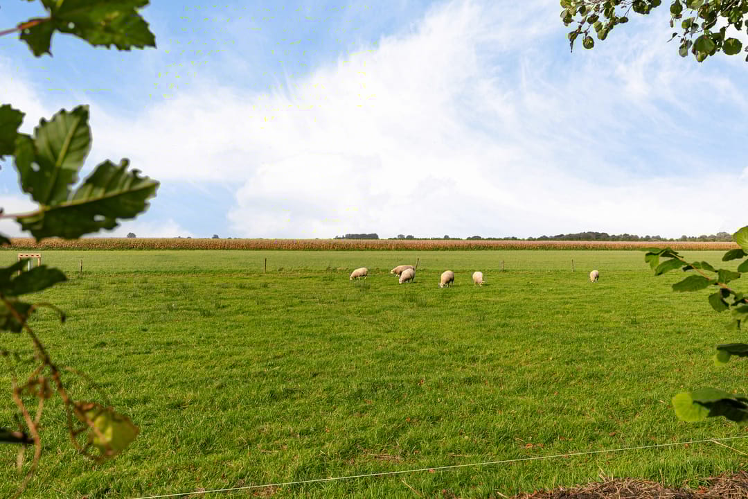 Photo 46 of Cornelisgracht 30