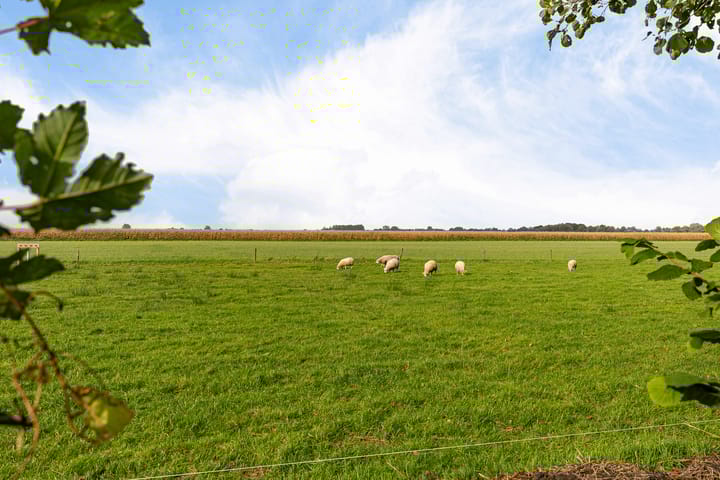 Foto 46 van Cornelisgracht 30