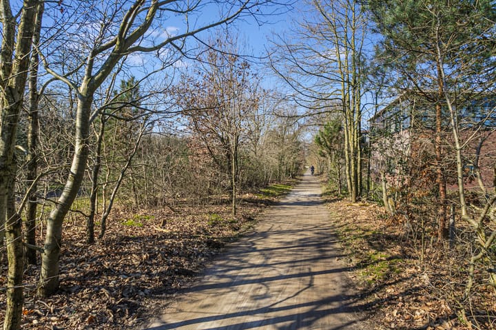 Foto 33 van Kolhornseweg 75