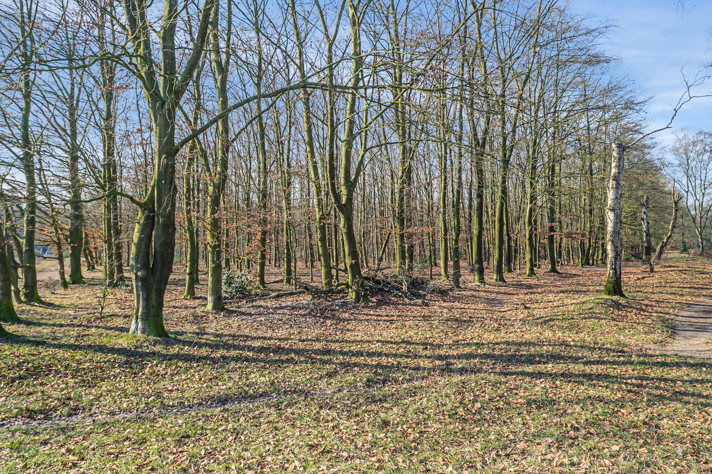 Foto 35 van Kolhornseweg 75