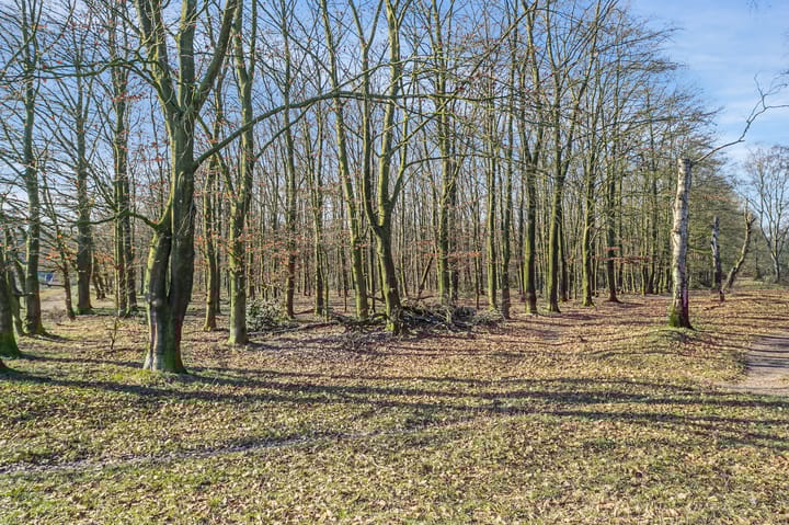 Foto 35 van Kolhornseweg 75