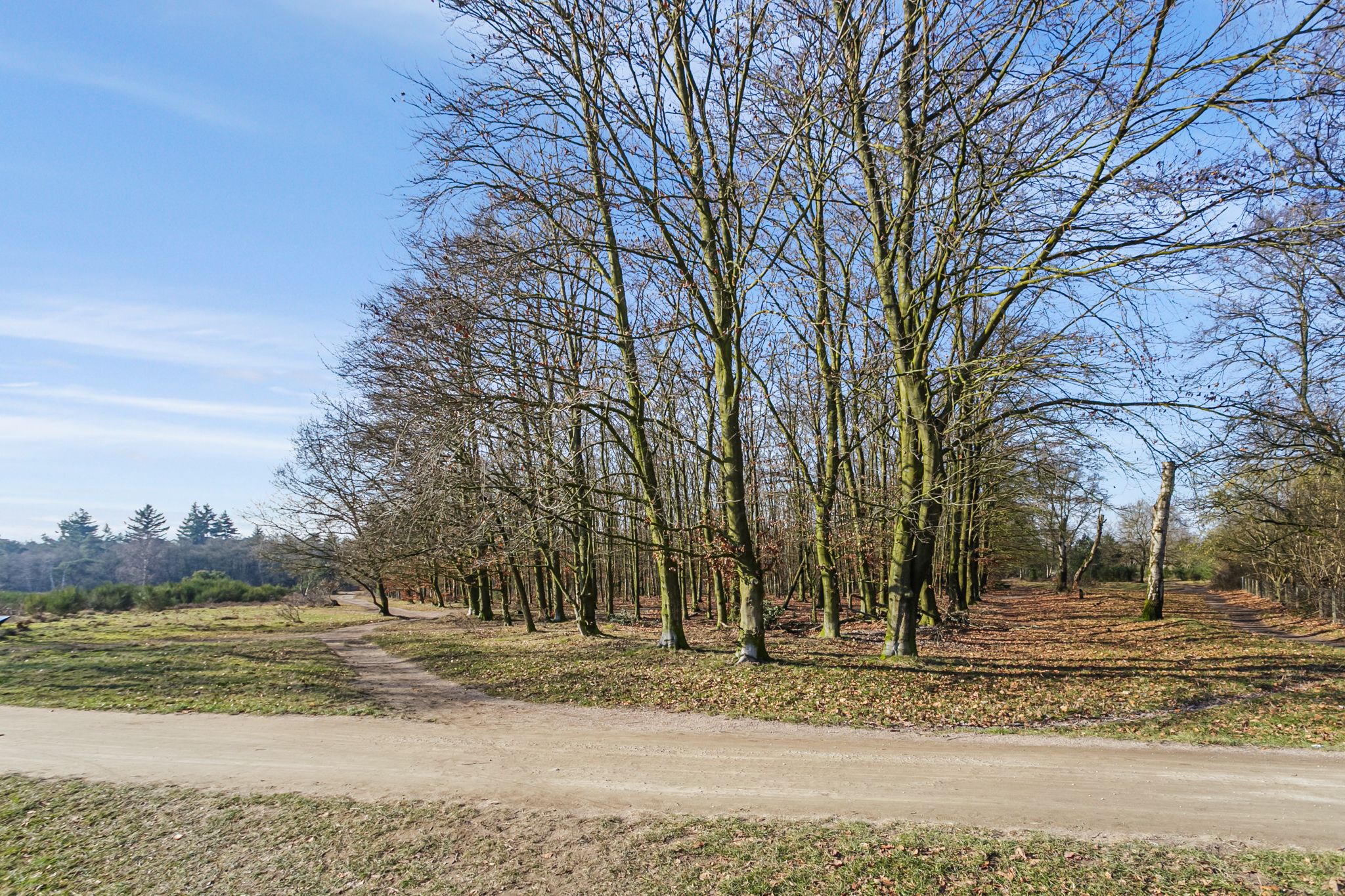 Foto 36 van Kolhornseweg 75