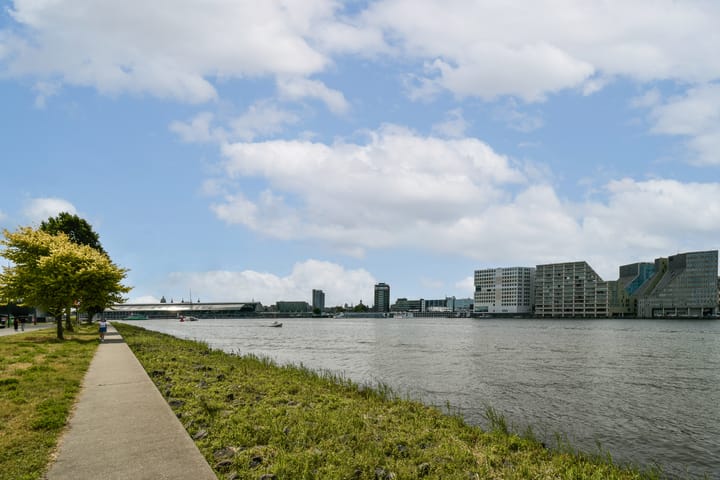 Foto 30 van Spadinalaan 569