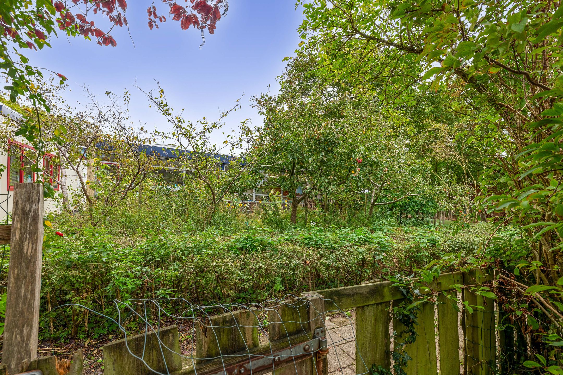 Foto 30 van Gruttoweide 134