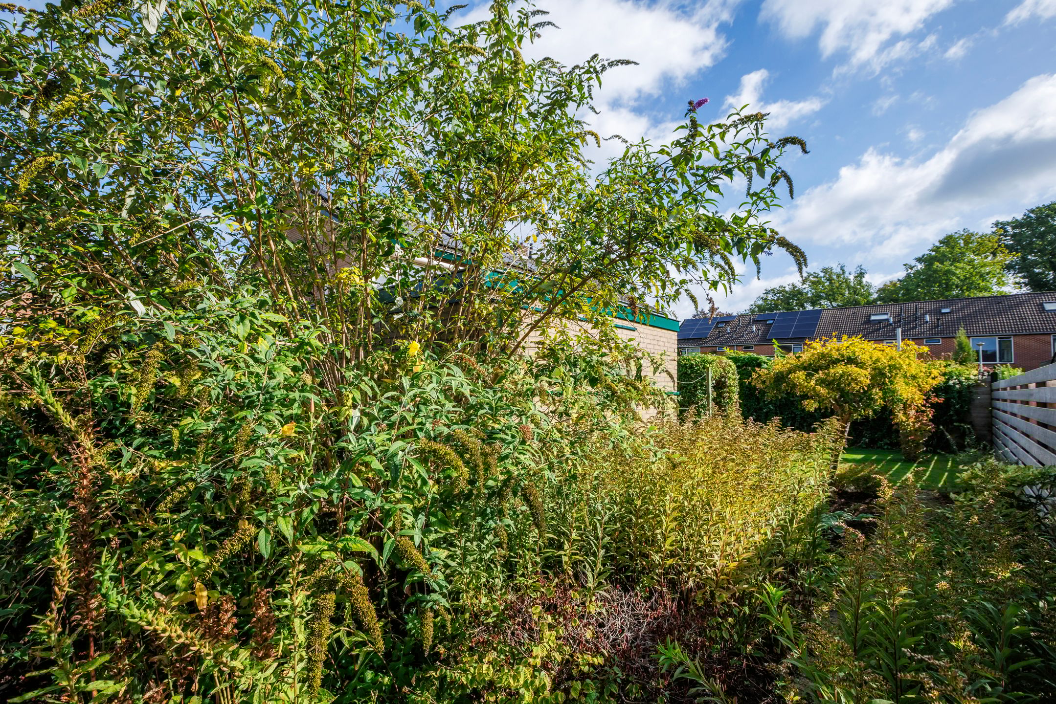 Foto 21 van De Heurne 54