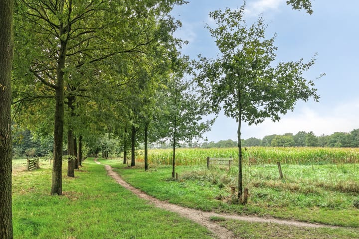 Foto 3 van Vicarielaan 10