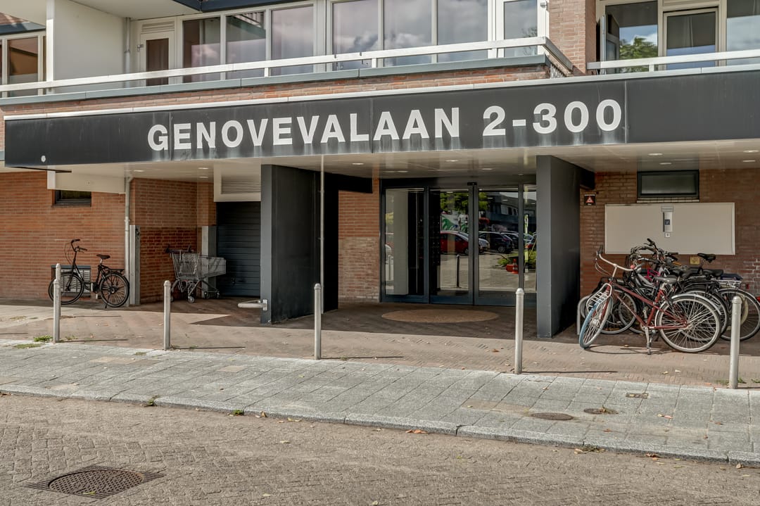 Foto 2 van Genovevalaan 168