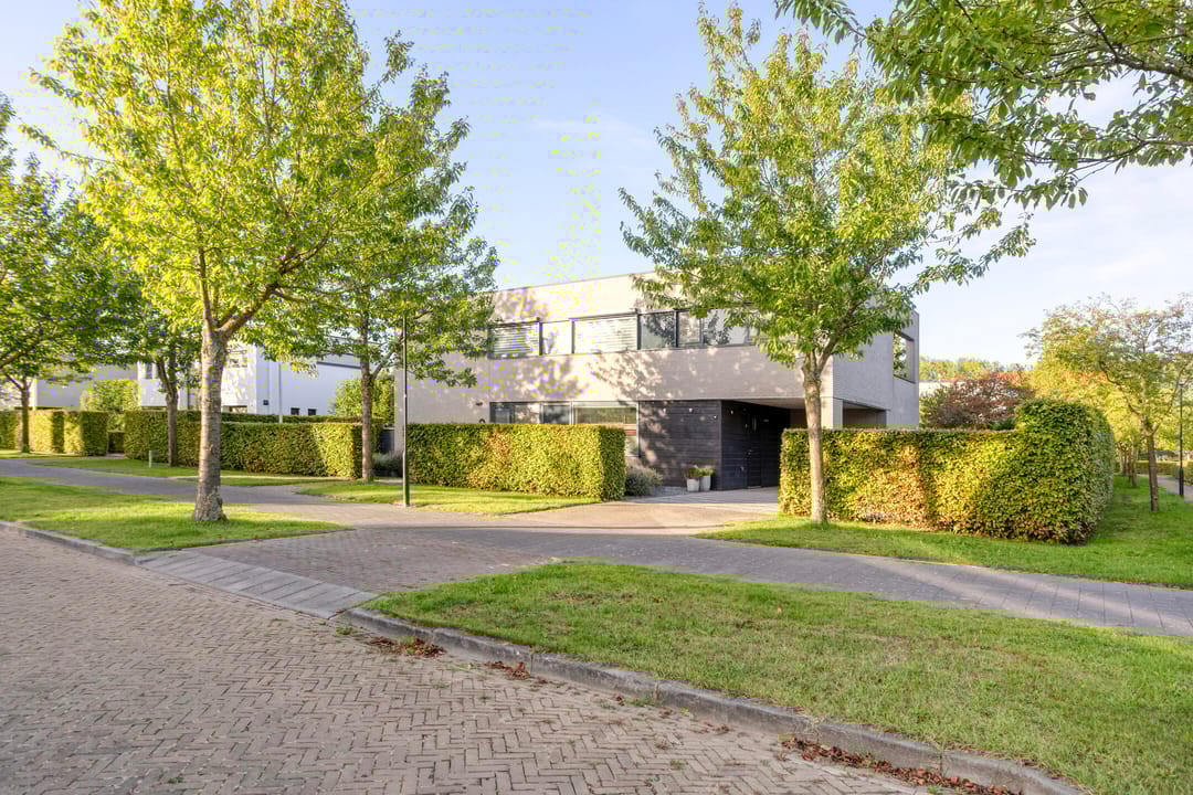 Foto 1 van Rozemarijnstraat 9