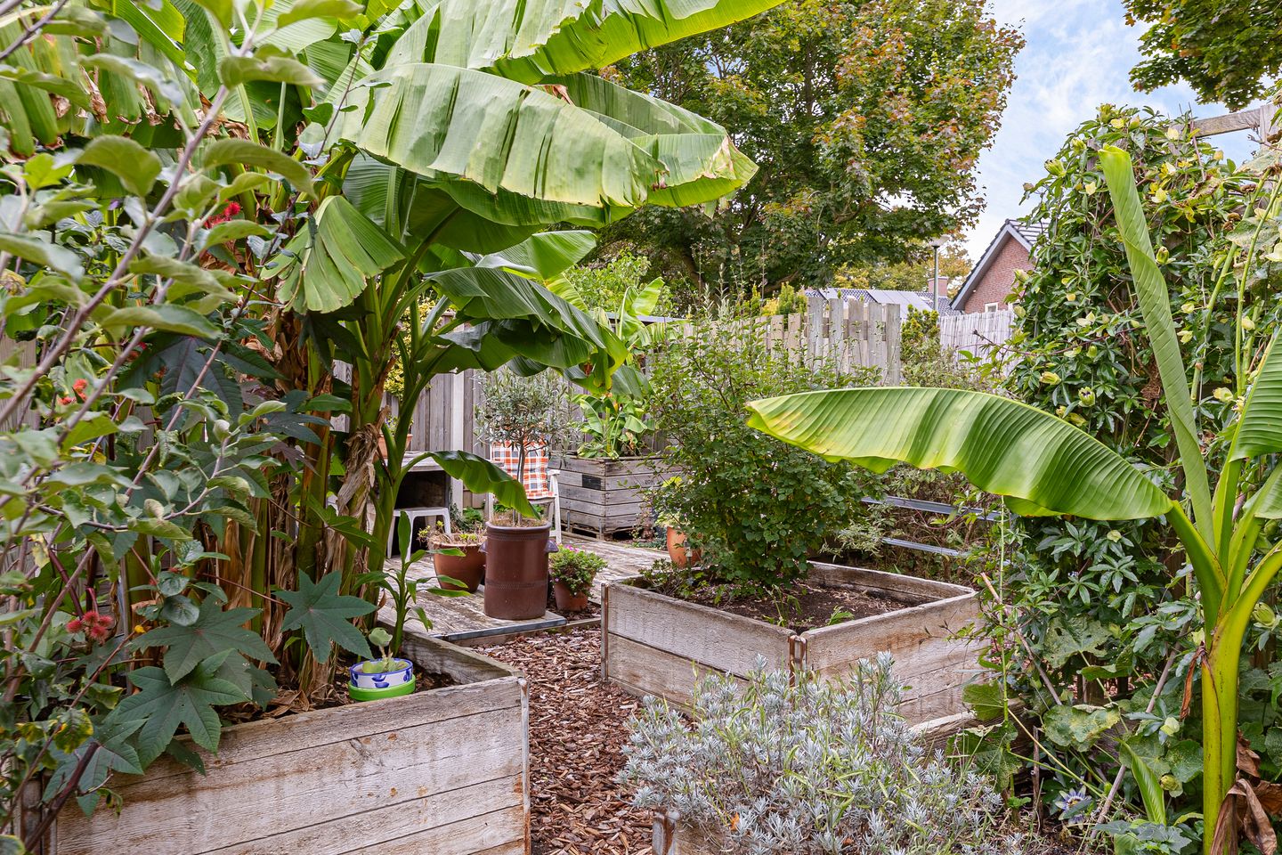 Foto 40 van Heer Willemstraat 6