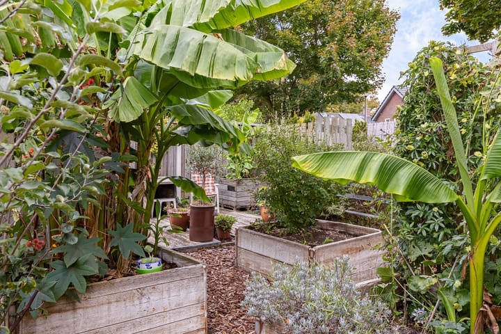 Photo 40 of Heer Willemstraat 6