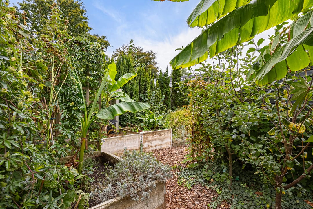 Foto 43 van Heer Willemstraat 6