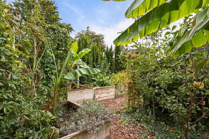 Photo 43 of Heer Willemstraat 6