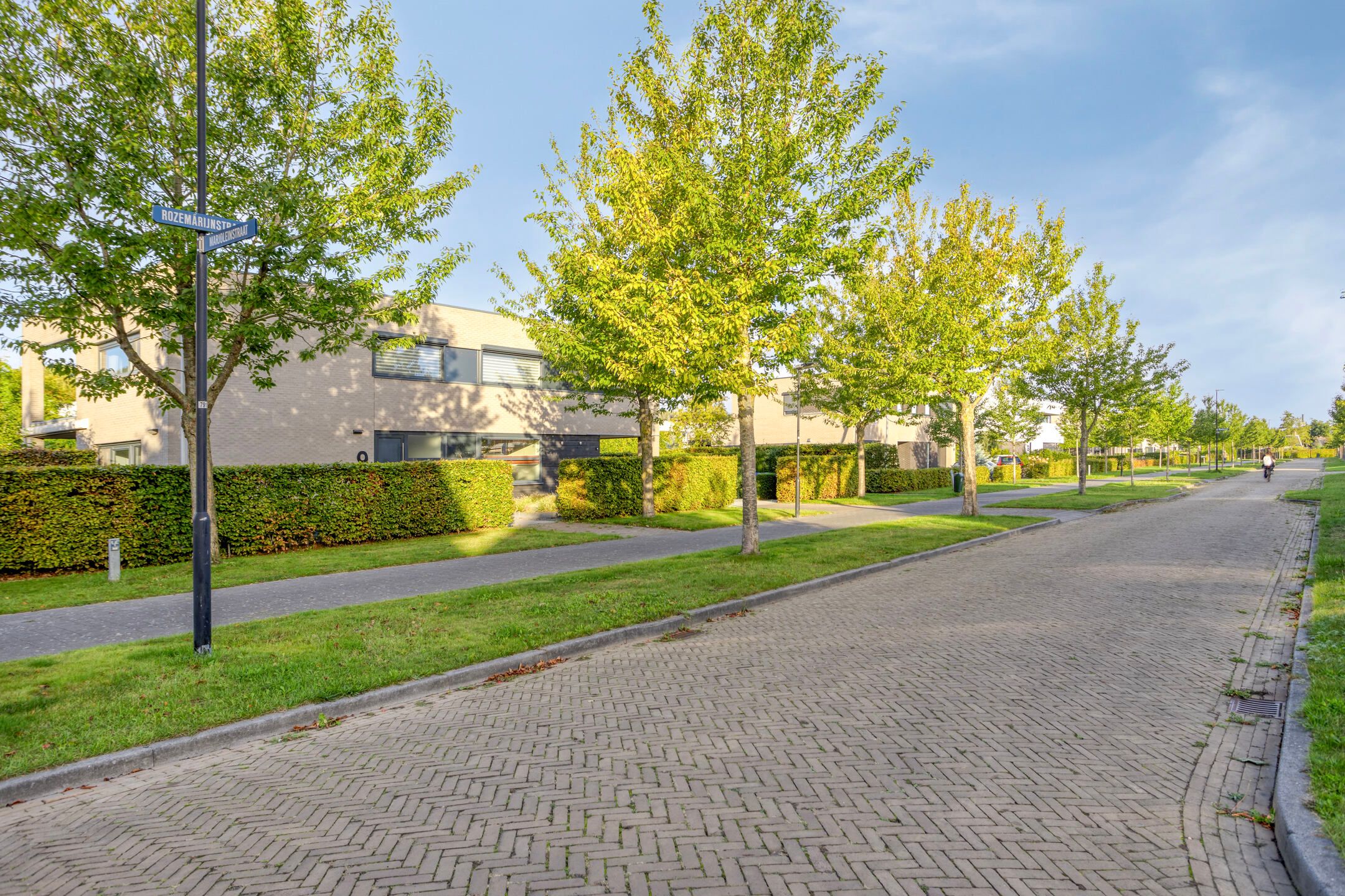 Foto 36 van Rozemarijnstraat 9