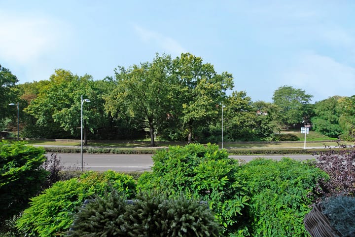 Foto 23 van Hogeweg 17-D