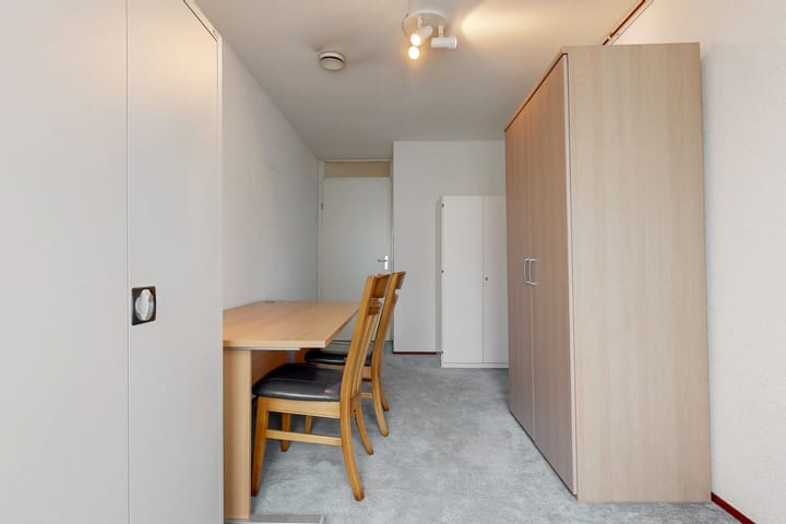 Foto 13 van Kamerlingh Onneslaan 135-C