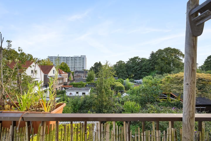 Foto 21 van Alexanderstraat 52