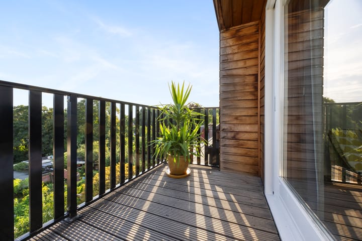 Foto 39 van Alexanderstraat 52