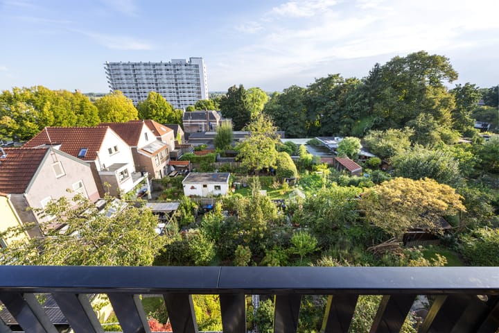 Foto 40 van Alexanderstraat 52