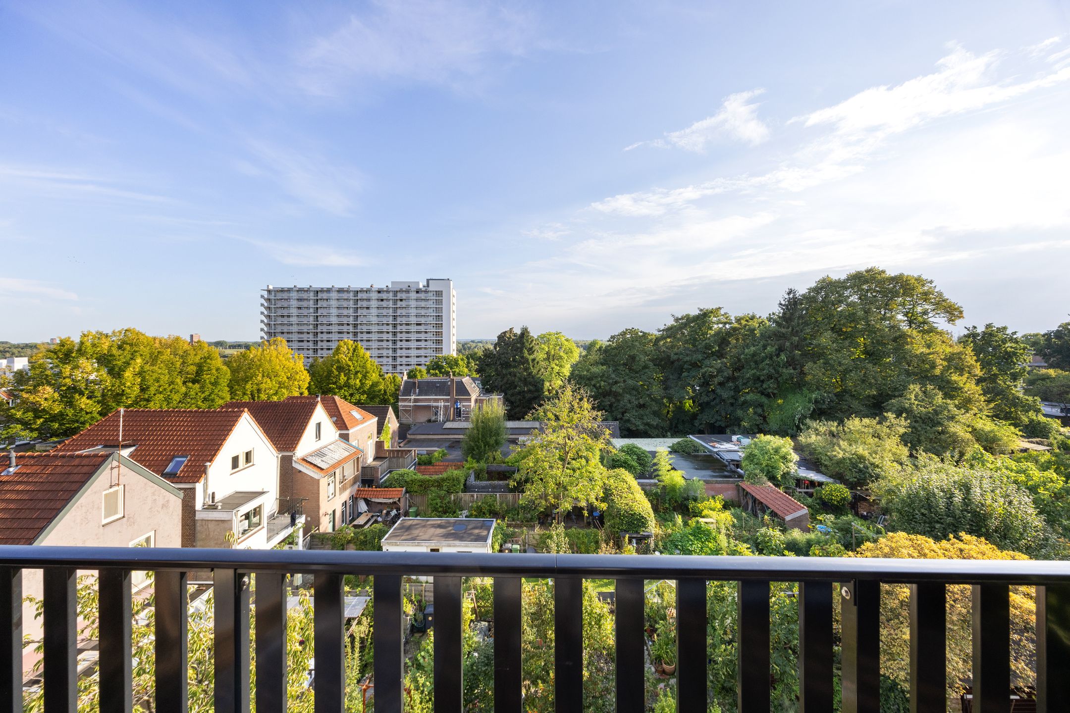 Photo 42 of Alexanderstraat 52
