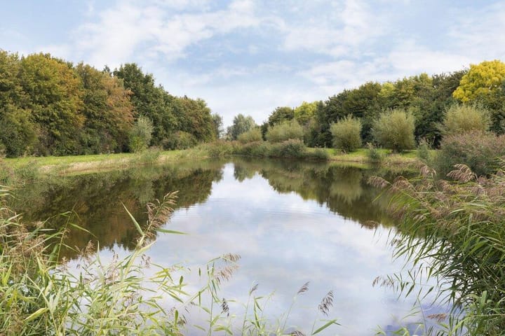 Photo 68 of Vlaamse Gaailaan 25