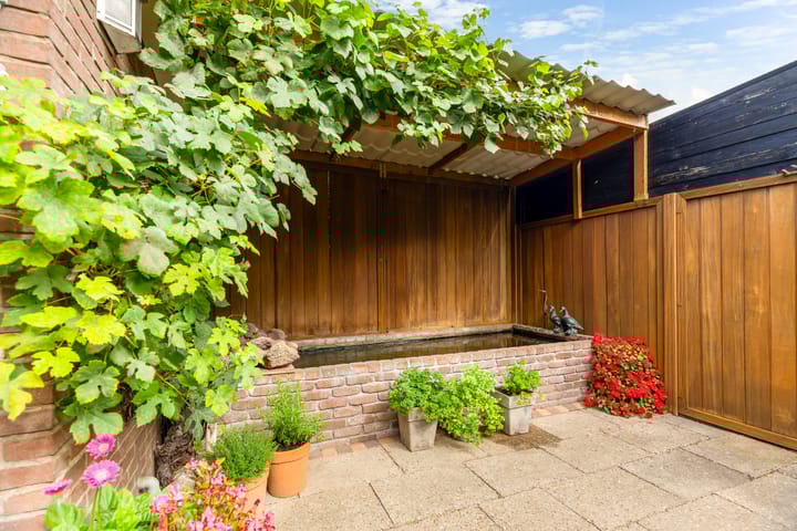 Foto 21 van Burgerdijkstraat 7