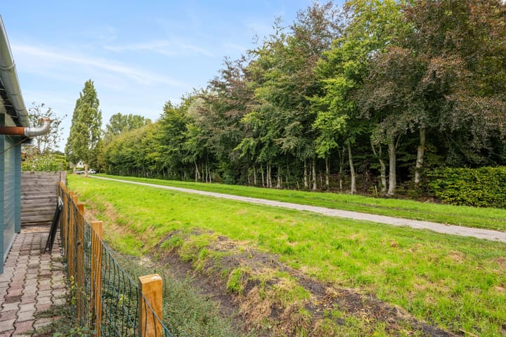 Foto 28 van Dotterbloem 33