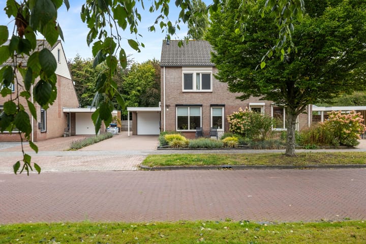 Foto 34 van Dotterbloem 33