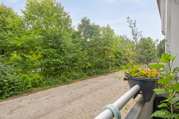 Foto 21 van Generaal van Teynstraat 50