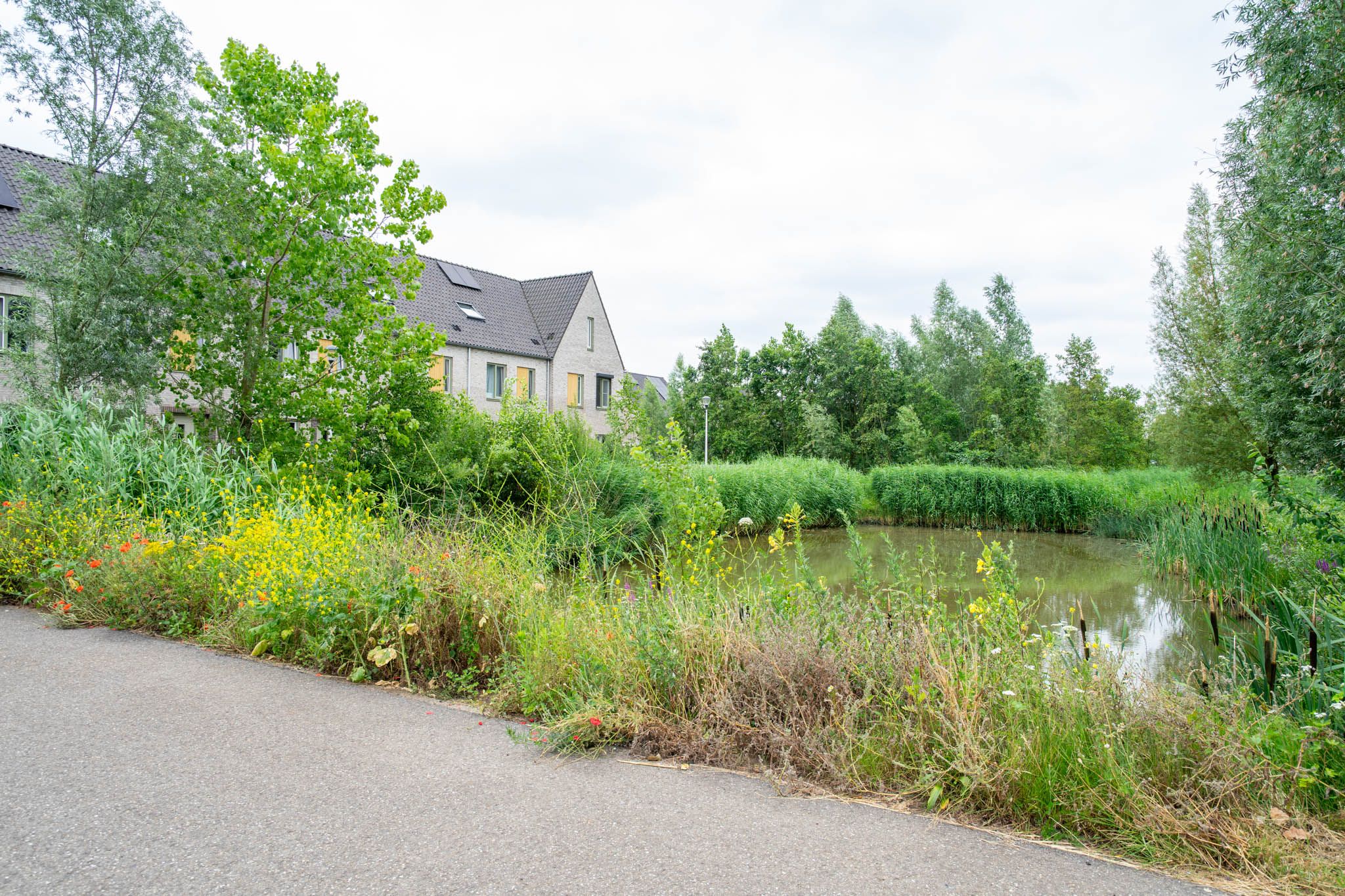 Foto 36 van Addy Kleijngeldstraat 50