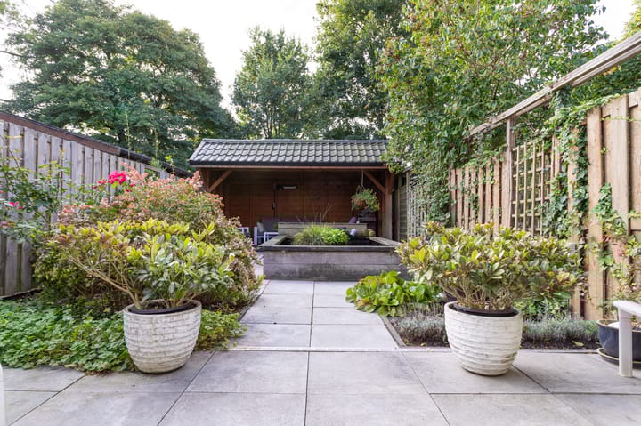 Foto 2 van Dorsvlegel 10