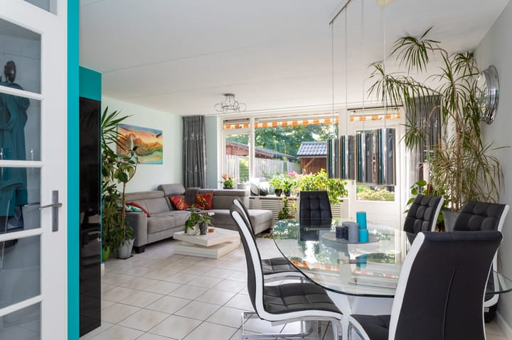 Foto 4 van Dorsvlegel 10